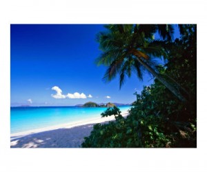 South Scenery